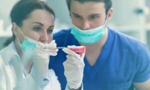Dentists examining a model of dentures, both wearing masks, gloves, and lab coats. They are closely inspecting the model, which shows artificial teeth. The background is a dental clinic.