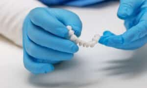 A close-up view of gloved hands holding a dental crown, illustrating the different types of dental crowns used in restorative dentistry.